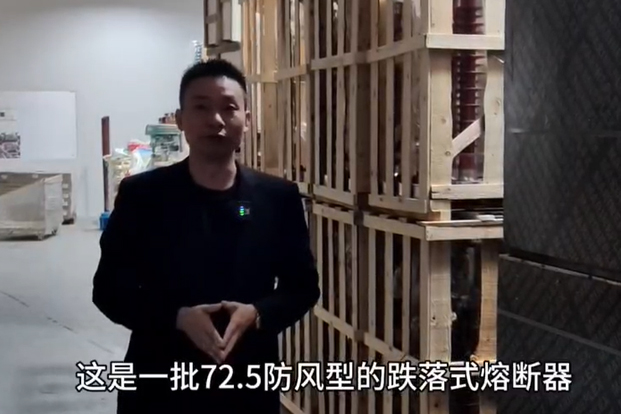 72.5防風型跌落式熔斷器